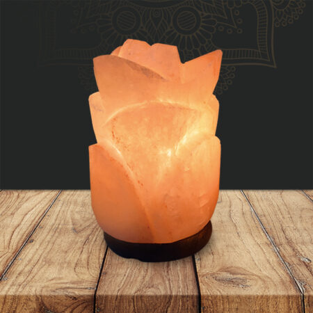 Lámparas de Sal Figuras